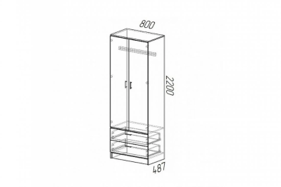 Шкаф платяной Дуэт 220х80х48,7