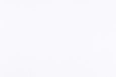 Фасады, Регина фасад 27х71 см