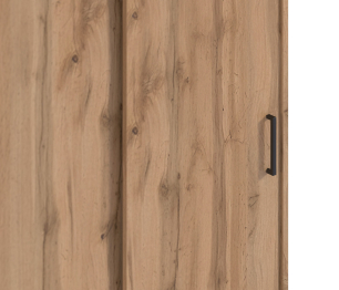 Шкаф-купе 2-х дверный Терра СБ-2545