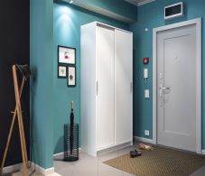 Шкафы-купе, Шкаф-купе 2-х дверный Терра СБ-2545